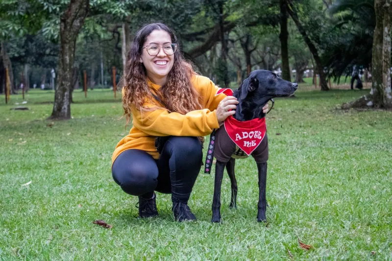 De rua para o sofá: as histórias de adoção que estão mudando vidas em Anhanguera