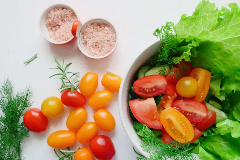 Comida que cura: como usar a nutrição estratégica para proteger a saúde do seu pet por anos
